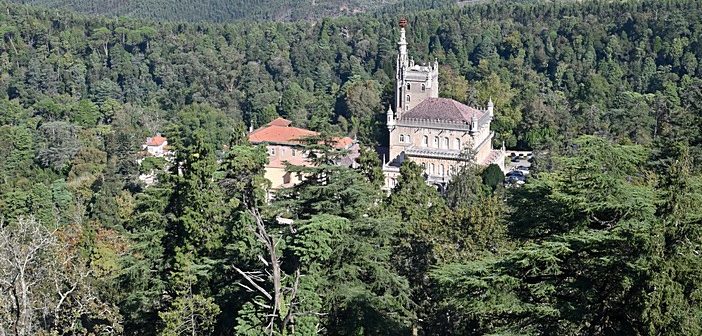 Turismo no Centro de Portugal regista crescimento recorde de proveitos e dormidas até agosto